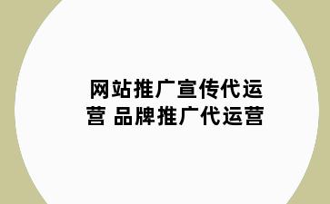 网站推广宣传代运营 品牌推广代运营
